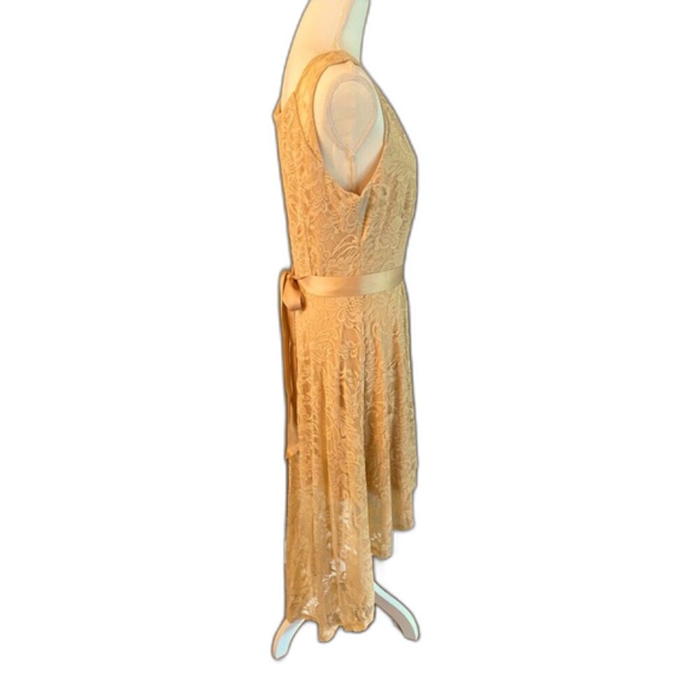 Berry Love High Low Formal Dress XL Chiffon Champagne (Formal or Wedding) - Picture 4 of 13